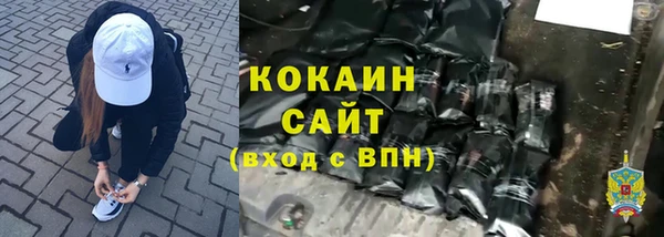 прущий лед Алзамай