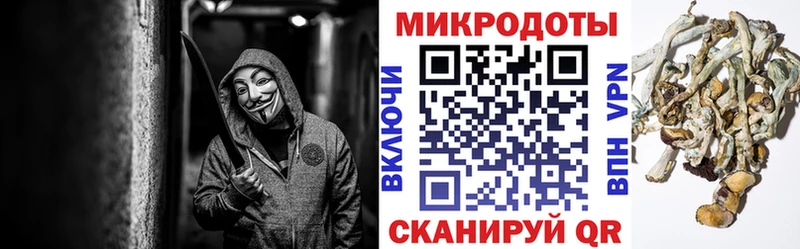 Галлюциногенные грибы мухоморы Купить Кемерово