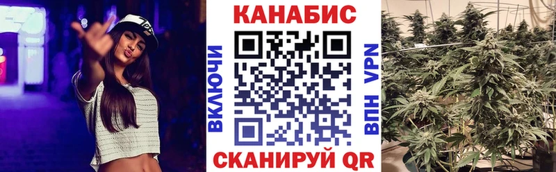 Марихуана план Кемерово